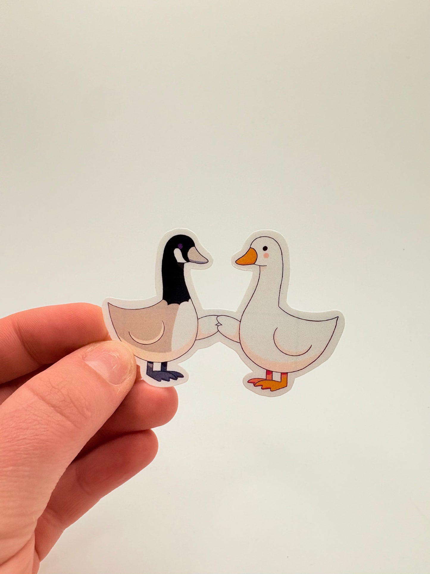 Silly Goose meets Canada Goose