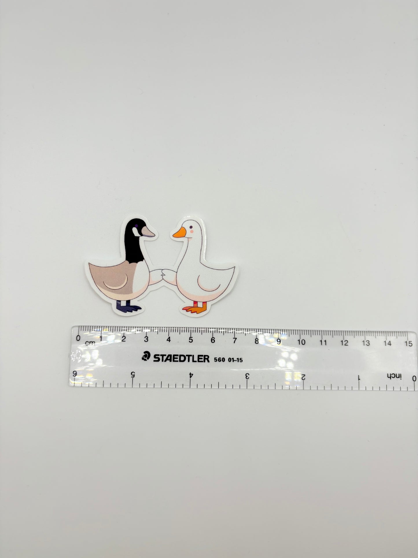 Silly Goose meets Canada Goose