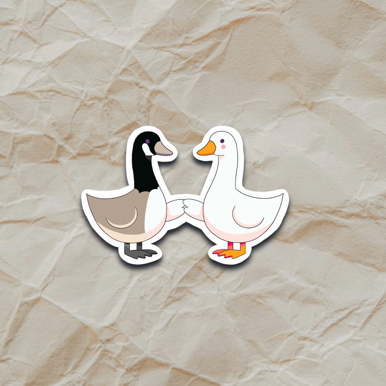Silly Goose meets Canada Goose