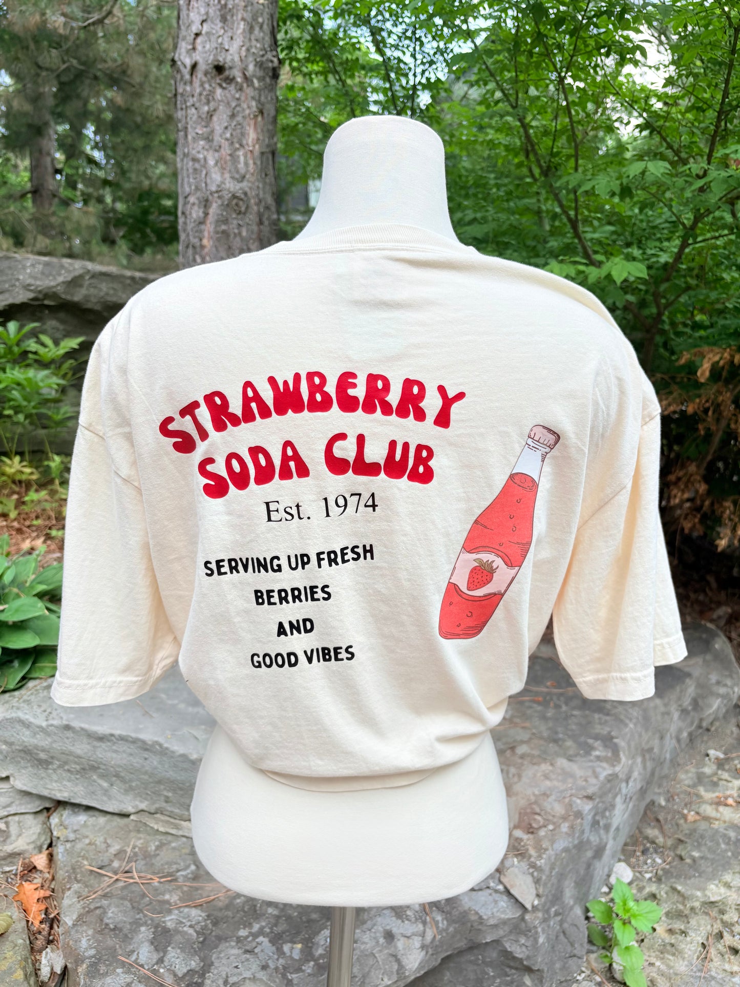 Strawberry T-Shirt - Fruit Stand Collection