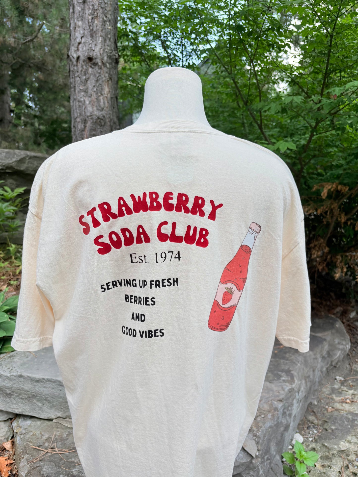 Strawberry T-Shirt - Fruit Stand Collection