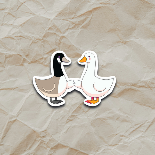 Silly Goose meets Canada Goose